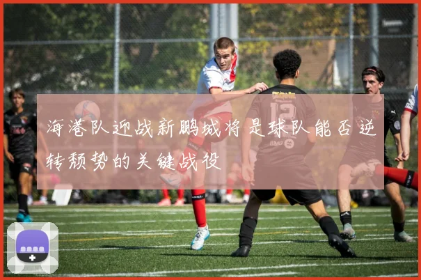 海港队迎战新鹏城将是球队能否逆转颓势的关键战役