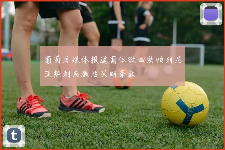 葡萄牙媒体报道葡体欲回购帕利尼亚热刺或激活买断条款