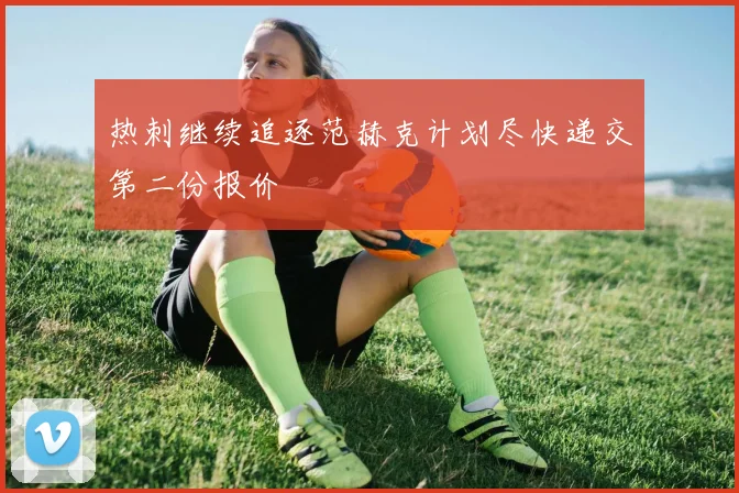 热刺继续追逐范赫克计划尽快递交第二份报价