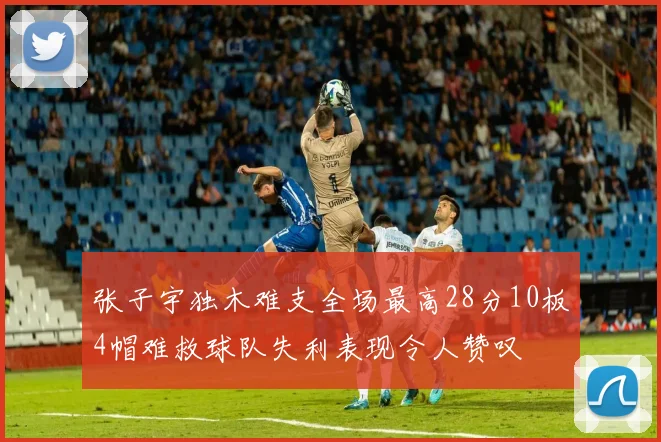 张子宇独木难支全场最高28分10板4帽难救球队失利表现令人赞叹