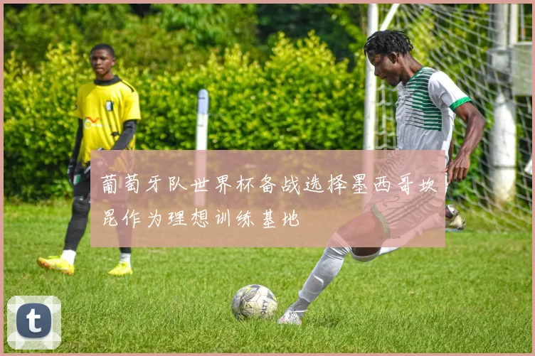 葡萄牙队世界杯备战选择墨西哥坎昆作为理想训练基地